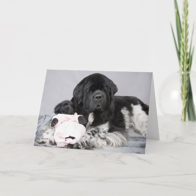 Carte d'accueil d'ours de Notta (Devant)