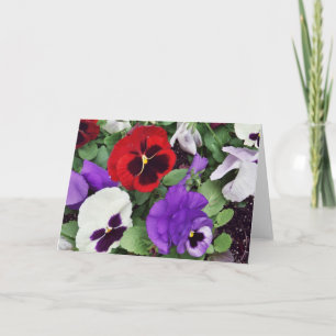 CARTE D'ACCUEIL : Pansies