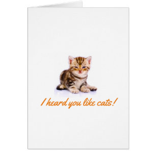Carte d'accueil pour les chats