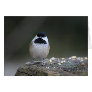 Carte d'accueil pour les chickadee