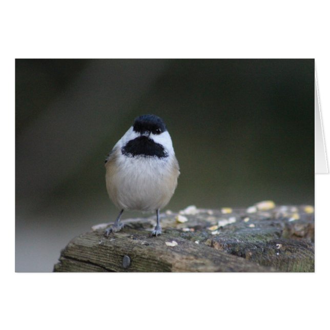 Carte d'accueil pour les chickadee (Devant horizontal)