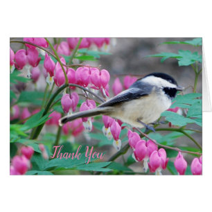 Carte d'accueil pour les chickadee en noir