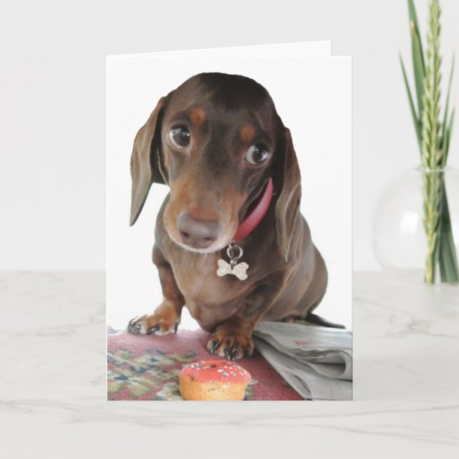 Carte d'accueil pour visage adorable dachshund Plu (Devant)