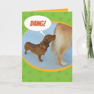 Carte Dachshund Dachshund Dniffer Golden Retriever Butt
