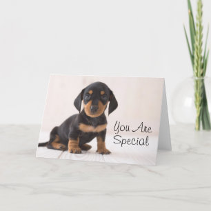 Carte Dachshund Miniature assis