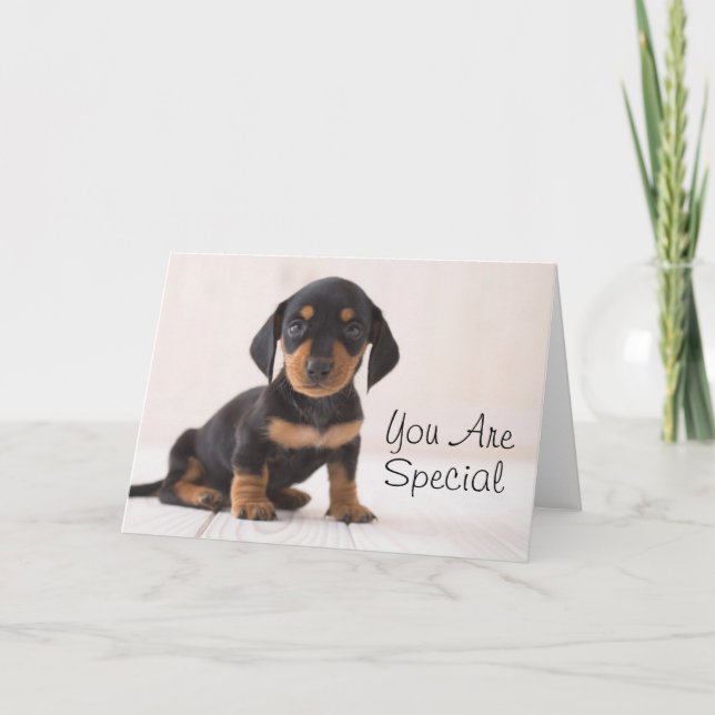 Carte Dachshund Miniature assis (Devant)
