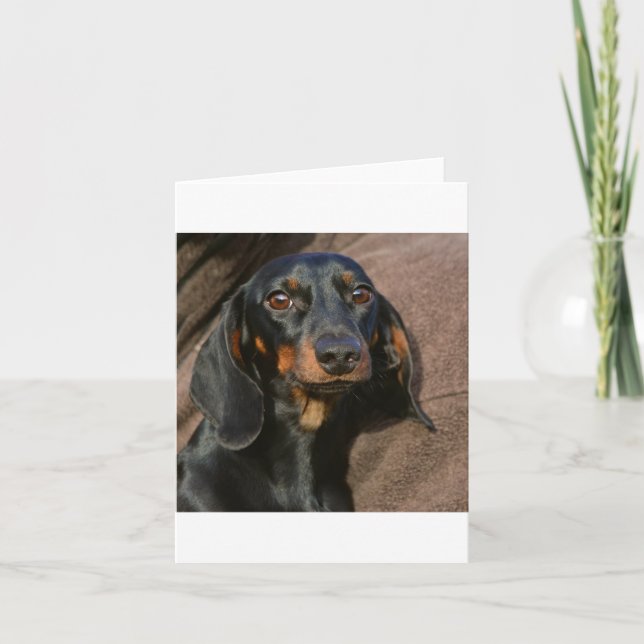 Carte dachshund noir et feu (Devant)