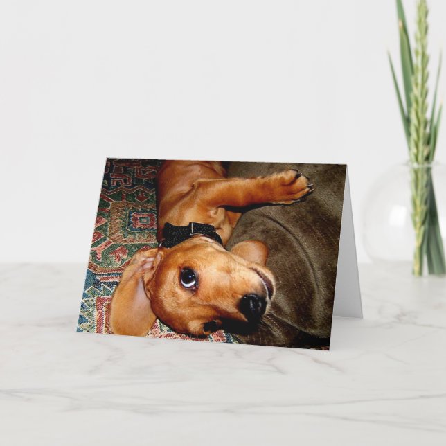 Carte Dachshund Pet Puppy (Devant)