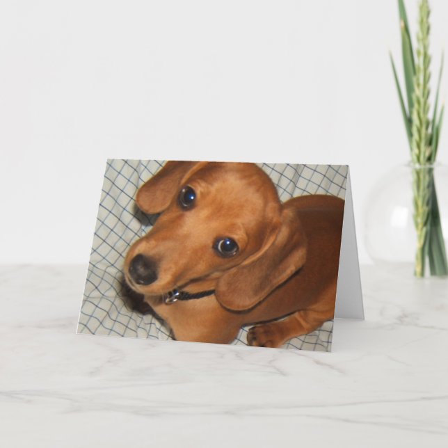 Carte Dachshund Pet Puppy Eyes (Devant)