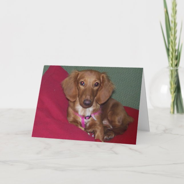 Carte Dachshund, Va Bien Bientôt (Devant)