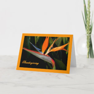Carte d'Action de grâce avec Oiseau du Paradis