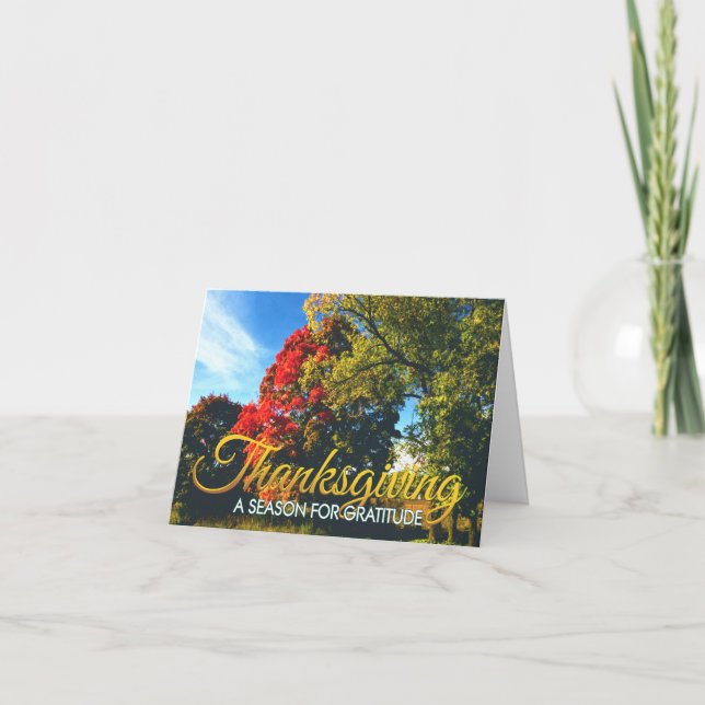 Carte d'action de grâces 17 (Devant)