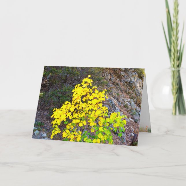 Carte d'action de grâces et d'automne 4 (Devant)