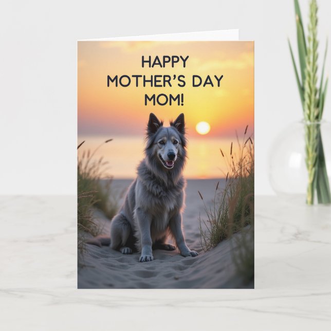 Carte d'affection pour chien au coucher du soleil (Devant)