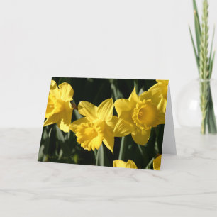 Carte Daffodil 023