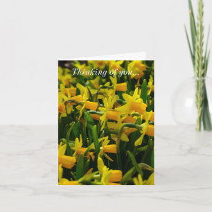 Carte Daffodil Famille Penser De Vous