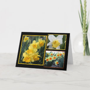 Carte Daffodil Trio