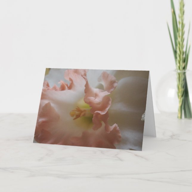 Carte Daffodile (Devant)