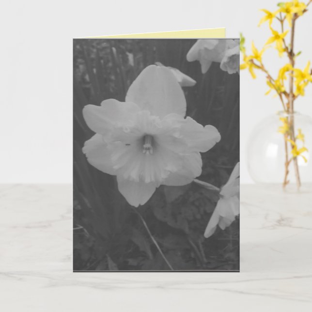 Carte Daffodile sauvage (Fleur jaune)