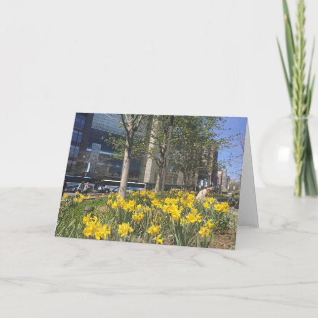 Carte Daffodiles de printemps Columbus Circle New York C (Devant)