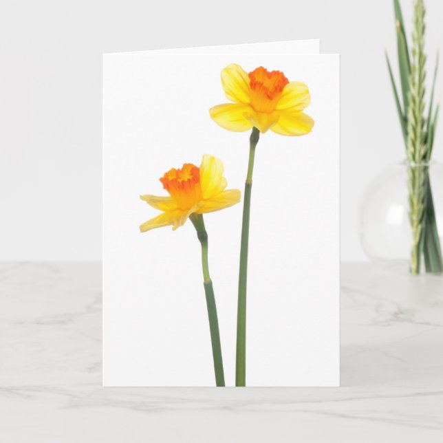 Carte Daffodiques Jaunes et Orange Jonquil (Devant)
