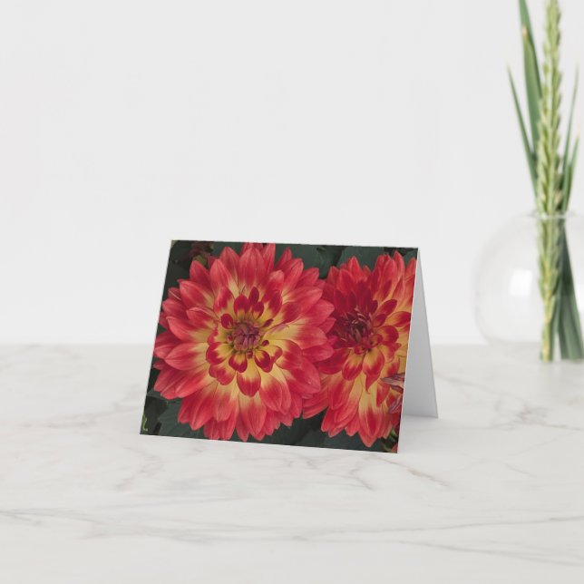 Carte Dahlia (Devant)