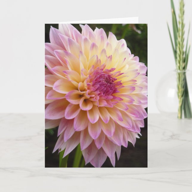 Carte Dahlia (Devant)