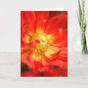 Carte dahlia de rouge du feu