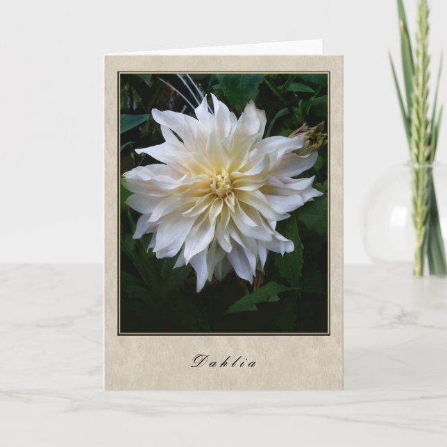 Carte Dahlia - Floral Series (Devant)