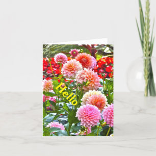 CARTE DAHLIA GARDEN/ ROSE ET PEACH DAHLIAS/ "HELLO"
