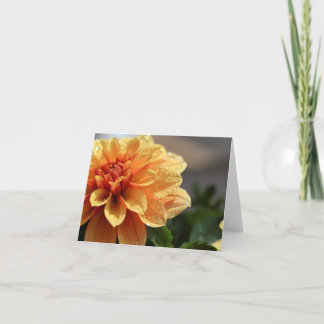 Carte Dahlia orange