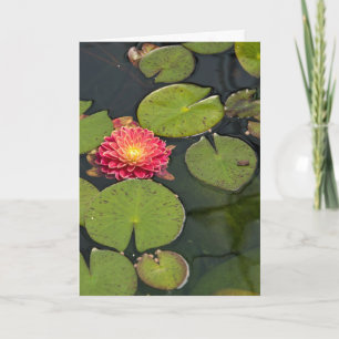 Carte Dahlia Pensée pour Vous dans les nénuphars