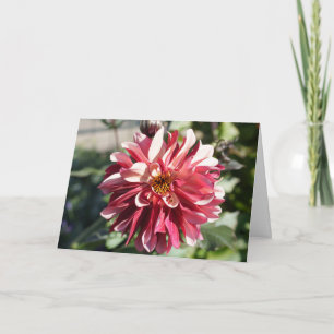 Carte Dahlia Rouge Joyeux Noël