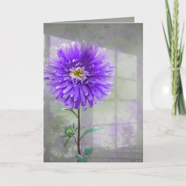 Carte Dahlia Violet Dans L'Ombre De Fenêtre (Devant)