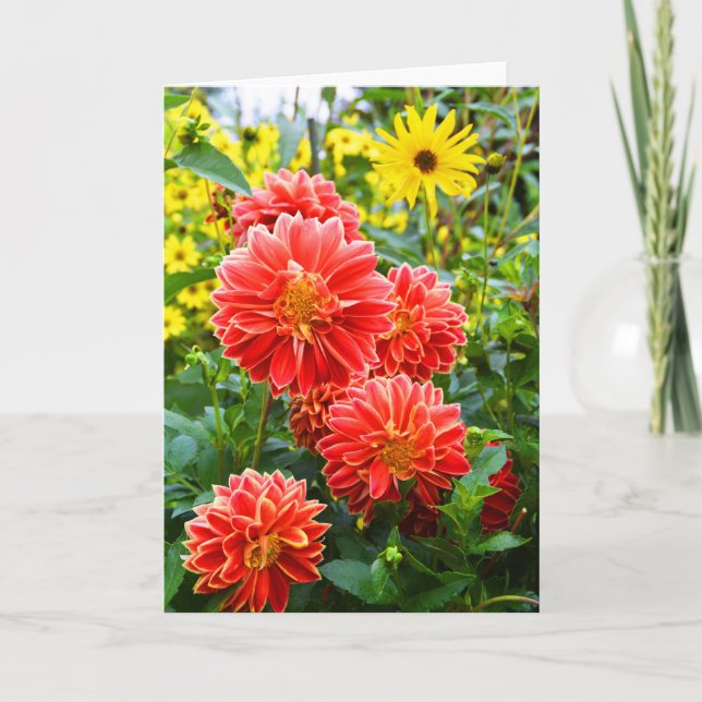 Carte Dahlias rouges (Devant)
