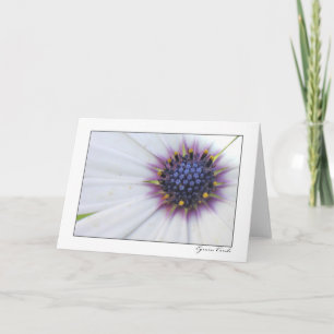 Carte Daisy