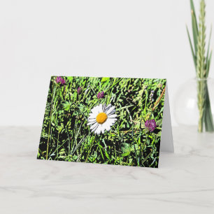 Carte Daisy