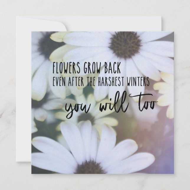 Carte DAISY BELL 5.25 x 5.25 (Devant)