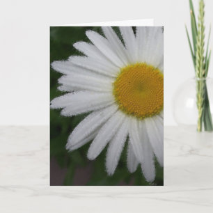Carte Daisy (croquis souple)