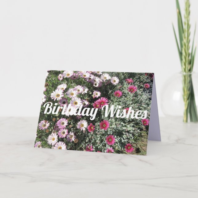 Carte Daisy Daisies Rose Rouge Fleurs Florales Anniversa (Devant)