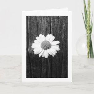 Carte Daisy et Love