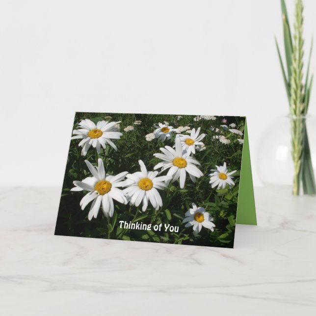Carte Daisy Happy (Devant)