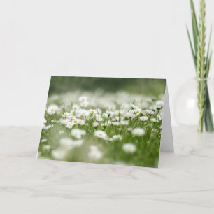 Carte Daisy Meadow
