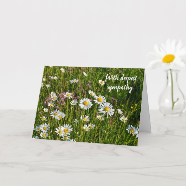 Carte Daisy Meadows - Avec mes plus sincères condoléance (Petite plante)