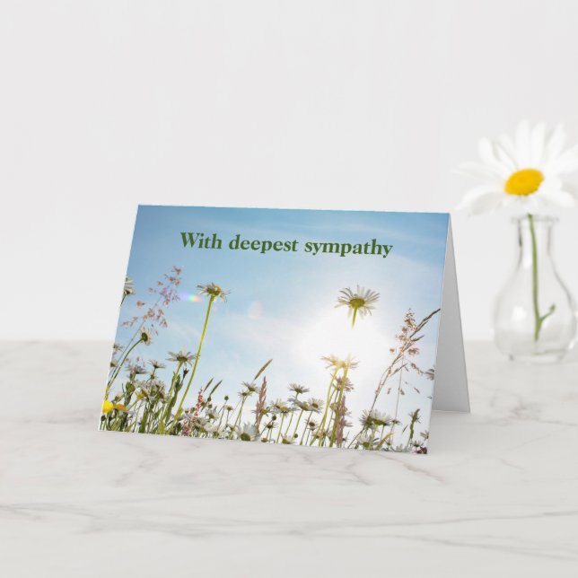 Carte Daisy Meadows - Avec profonde sympathie (Petite plante)