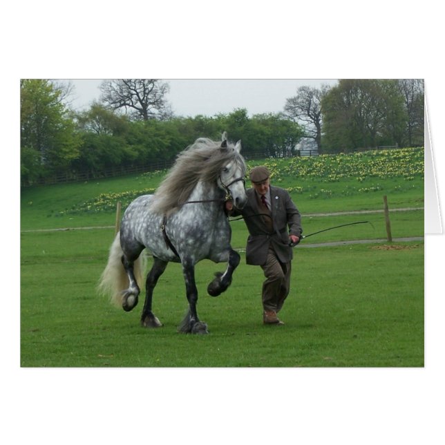 Carte Dales Pony (Devant Horizontal)