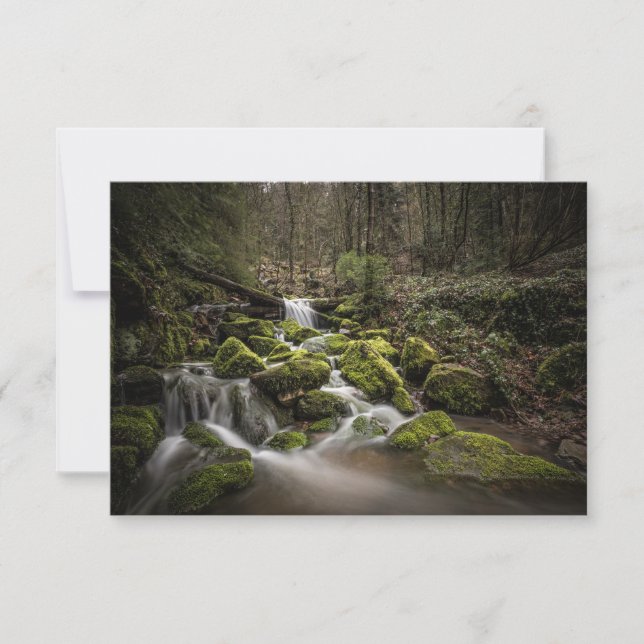 Carte d'Allemagne de la Forêt Noire (Devant)