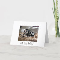 Dalmate.  Vers le bas.  Séjour.  Bon garçon !