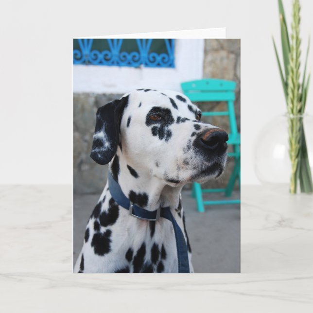 Carte Dalmatien (Devant)