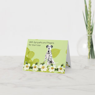 Carte Dalmatien, Dogwood à feuilles vertes